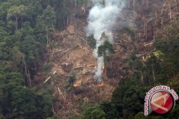 Berkas perkara pembalakan liar dilimpahkan ke Kejati