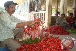 Jelang Ramadhan, Harga Cabai Makin "Pedas"