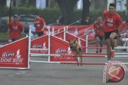 Alpo Dog Run 2015