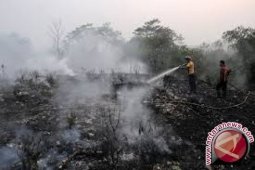 BPBD : Lahan empat kabupaten berpotensi terbakar