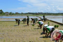 Danrem Apresiasi Program Ketahanan Pangan di Aceh Selatan