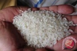 Hindari Beras Palsu dengan Operasi Pasar