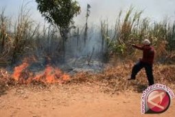 Disbun Jambi bentuk Brigade pengendalian kebakaran lahan