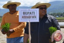 Sektor Riil Kontribusi Terbesar Pergerakan Ekonomi Rakyat