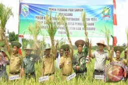 Lapsus : Pendapatan Kotabaru Selama Pemerintahan Irhami-Rudy Naik 56 Persen