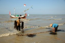 Produksi Rumput Laut 2015