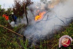 50 hektare lahan masyarakat terbakar