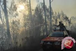 BPBD : 15 titik panas terdeteksi di Jambi