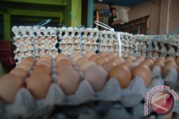Bulog Tulungagung Siaga Operasi Pasar Telur