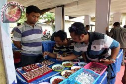 Festival Batu Akik Tingkatkan Promosi Wisata Jember