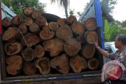 Kapolres Trenggalek: Kasus Dugaan Pembalakan Hutan Ditutup