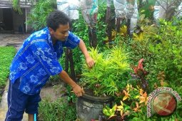 Pengusaha Taman Beromzet Sampai Rp65 Juta