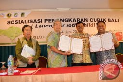 'Curik' Bali Bisa Jadi Model Keberhasilan Konservasi