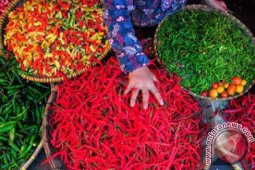 Pedasnya cabai yang  mengganggu pemerintahan