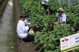 EWINDO Gelar Lomba Inovasi Hortikultura