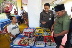 Batu Akik Khas Jember Diburu Pengunjung Festival