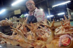 Harga Daging Ayam di Malang Naik Drastis