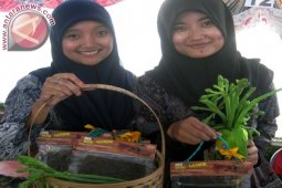 Yuk, Coba Dendeng Genjer yang Lezat