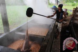 Petani Tebu Tulungagung Nikmati Kenaikan Harga Gula