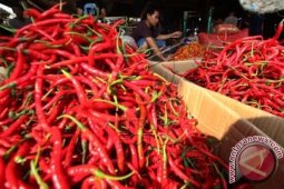 Disperindagkop Pantau Aktivitas Distributor Bahan Kebutuhan Pokok