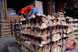 Jelang Ramadhan Harga Telur Melambung
