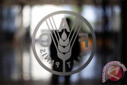 Indonesia Terima "MDGs Award" Dari FAO