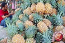 Tangkit dijadikan desa industri khusus