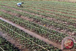 Bupati Trenggalek Dukung Alih Fungsi Sawah Perkotaan