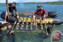 Marinir Tanam Karang
