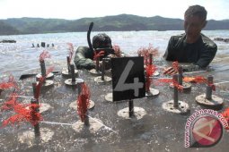 Konservasi Terumbu Karang Marinir