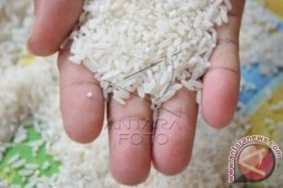 Indonesia bisa hadapi jebakan pangan