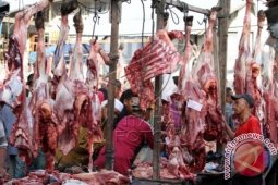 Kebutuhan Sapi Meugang di Lhokseumawe 257 Ekor