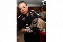 Penyeludupan Tengkorak Manusia