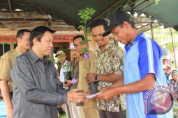 PENGEMBANGAN HOLTIKULTURA