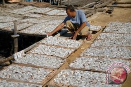 Harga Ikan Bandeng di Gresik Naik