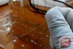 Getah Jarak Dapat sebagai Alternatif Benang Jahit Operasi