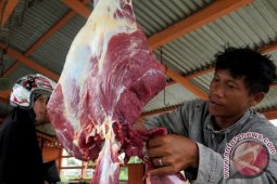 Masjid Baiturrahim Gorontalo Bagikan 1.000 Kupon Daging