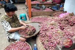 Harga Bawang Merah di Jember Turun
