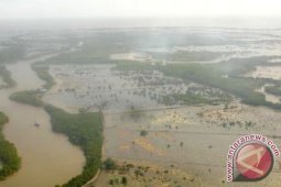 Ikan di Delta Mahakam Aman Dikonsumsi