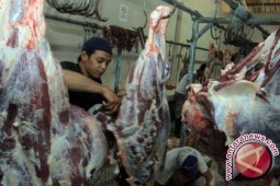 DPRD: Rumah potong hewan Jambi belum memadai