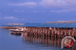 Berkawan Laut Di Torosiaje