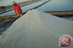 PT Garam Kembangkan Wisata Garam di Pamekasan
