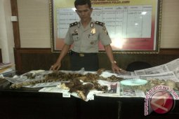 Polisi limpahkan berkas tersangka "Offset" hewan langka