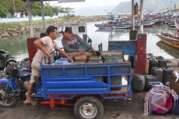 Nelayan Stok BBM Solar Jelang Musim Ikan