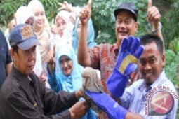 Kaltim Manfaatkan Burung Hantu Atasi Hama Tikus