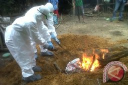 Jerman temukan kasus flu burung jenis H5N8 di peternakan