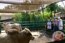 Dubes Autralia Tinjau RPH Elders Di Bogor