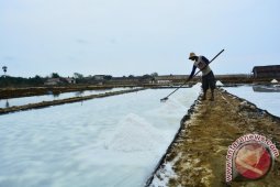 Target Produksi Garam Lamongan Turun