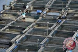 Pemkot Jambi dorong petani manfaatkan keramba terlantar