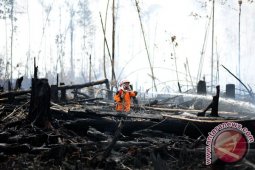 Pemkab Kayong Utara petakan kerawanan Karhutla